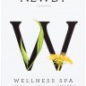 Чай Newby Wellness Spa Органический зеленый 25пак