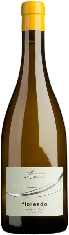 Вино Andrian Alto Adige Sauvignon DOC Floreado сухе біле 13% 0.75 л